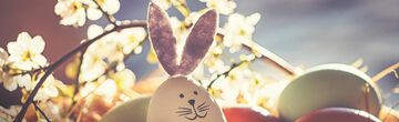 Easter, Easter Holidays & Spring at the Willino